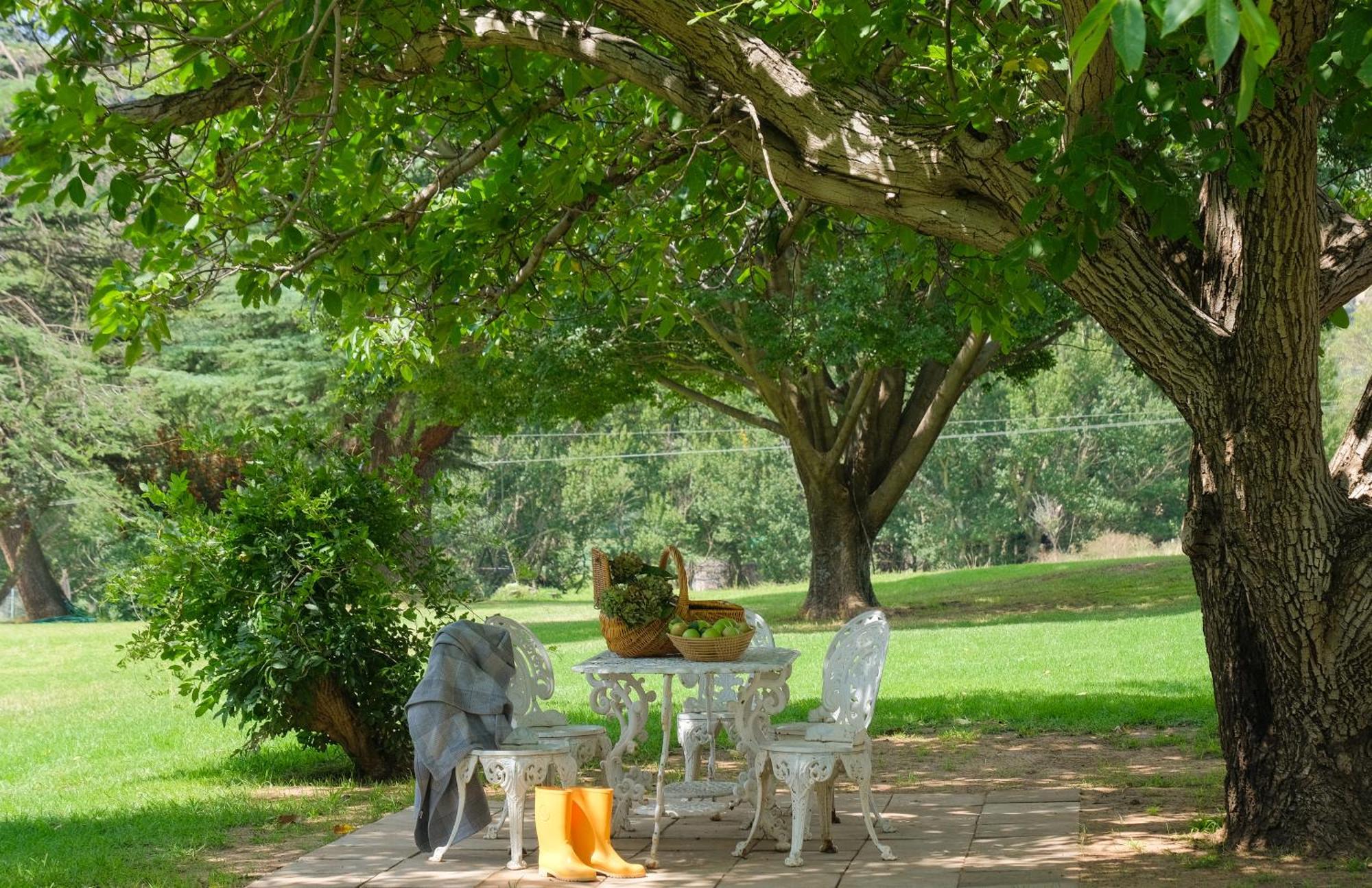St Fort Farm Guesthouse Clarens Zewnętrze zdjęcie